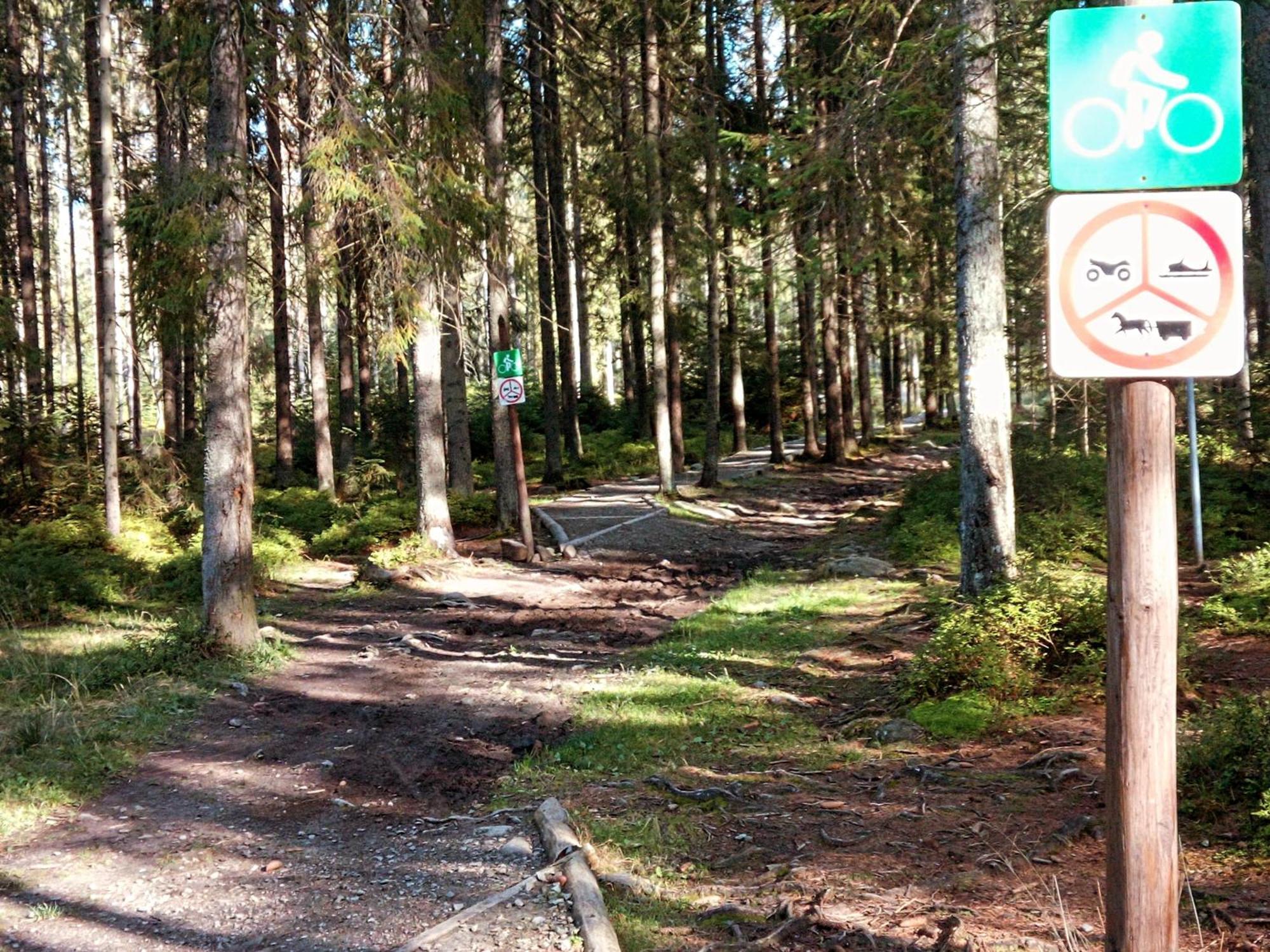 Eco Domek Z Duzym Ogrodem I Widokiem Murzasichle Exterior foto